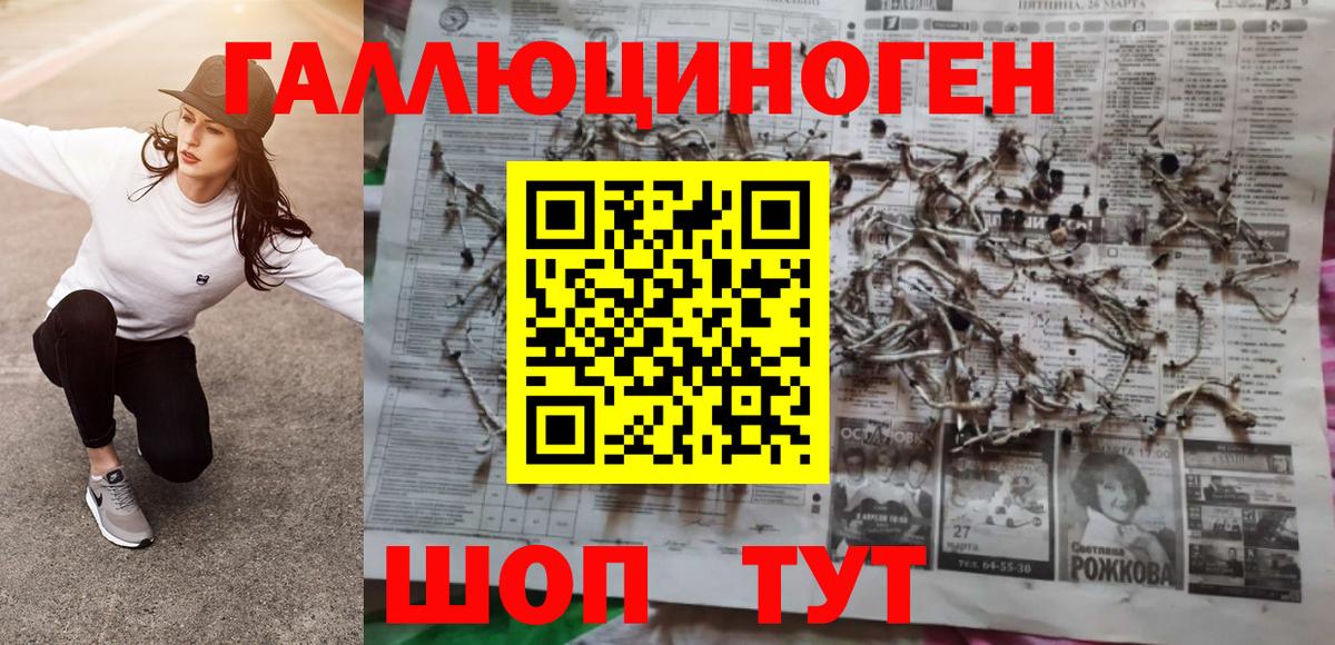 Кизляр  где продают наркотики  Вход с VPN  Псилоцибиновые грибы ЛСД 