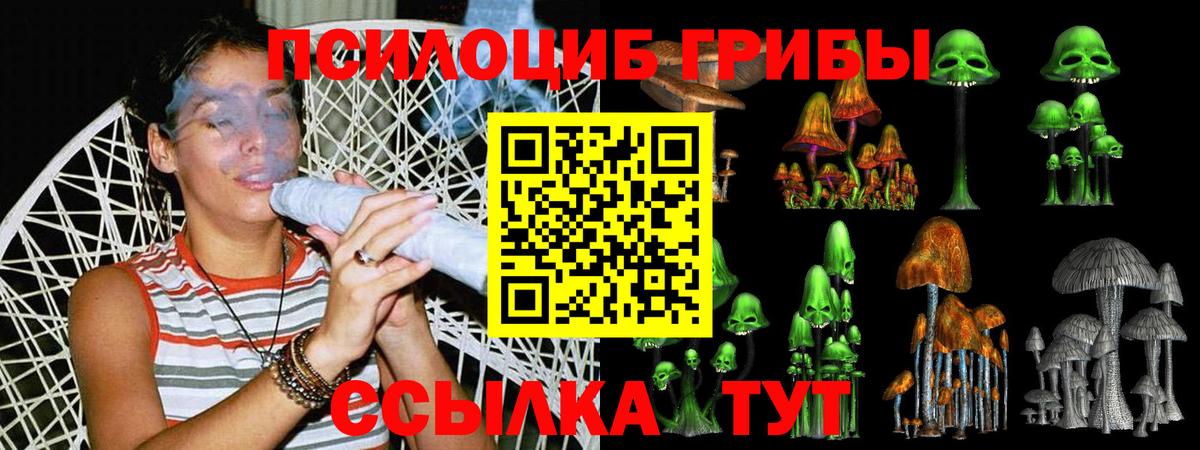 Галлюциногенные грибы прущие грибы  Кизляр 