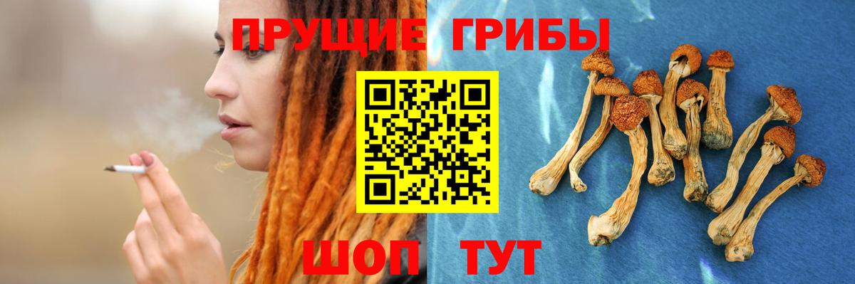 Галлюциногенные грибы ЛСД Кизляр